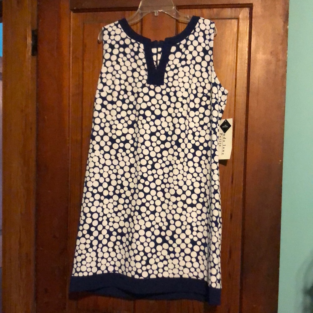 Size 14P nice never been worn polkadotted navy blue dress
